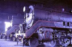 38 class steam locomotives 
 resting at Broadmeadow loco 
 depot New South Wales Australia